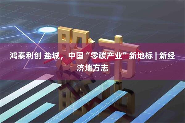 鸿泰利创 盐城，中国“零碳产业”新地标 | 新经济地方志