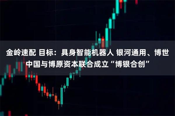 金岭速配 目标：具身智能机器人 银河通用、博世中国与博原资本联合成立“博银合创”