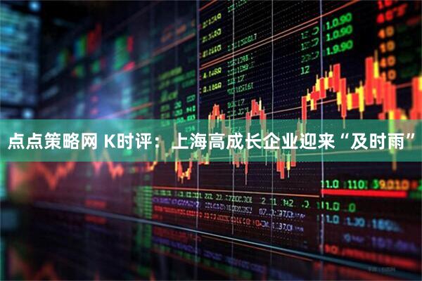 点点策略网 K时评：上海高成长企业迎来“及时雨”