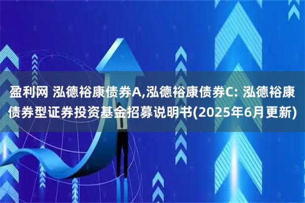 盈利网 泓德裕康债券A,泓德裕康债券C: 泓德裕康债券型证券投资基金招募说明书(2025年6月更新)