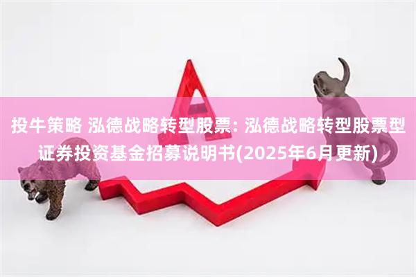投牛策略 泓德战略转型股票: 泓德战略转型股票型证券投资基金招募说明书(2025年6月更新)