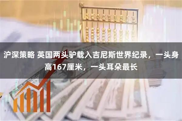 沪深策略 英国两头驴载入吉尼斯世界纪录，一头身高167厘米，一头耳朵最长