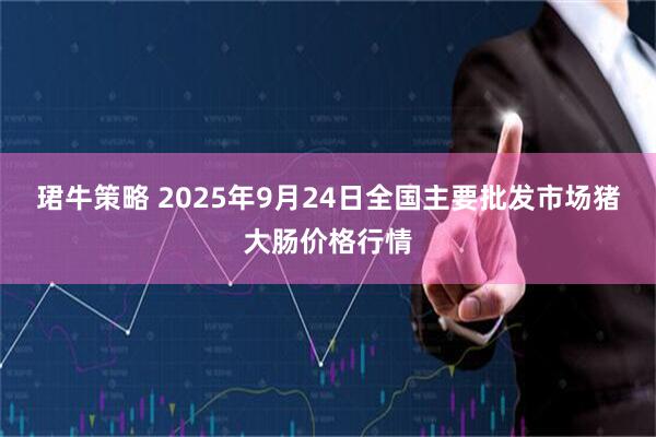 珺牛策略 2025年9月24日全国主要批发市场猪大肠价格行情