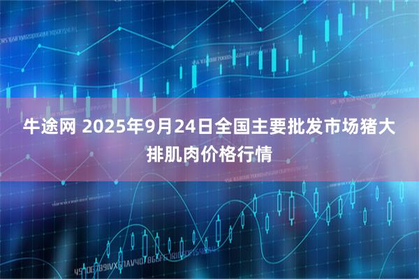 牛途网 2025年9月24日全国主要批发市场猪大排肌肉价格行情