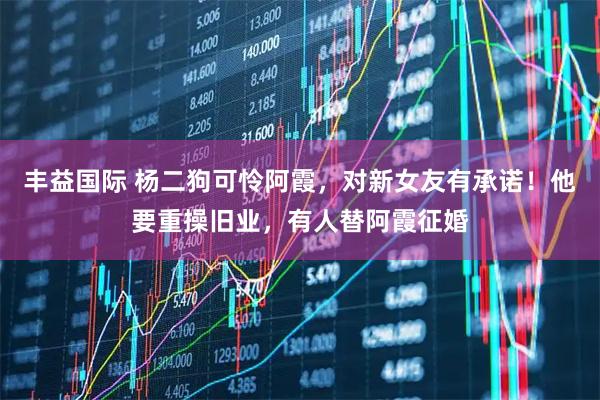 丰益国际 杨二狗可怜阿霞，对新女友有承诺！他要重操旧业，有人替阿霞征婚