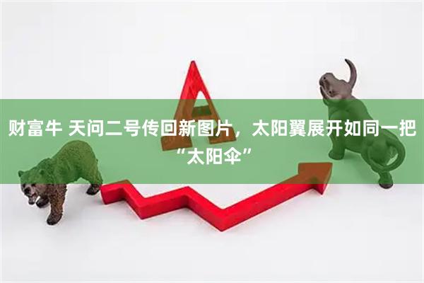 财富牛 天问二号传回新图片，太阳翼展开如同一把“太阳伞”
