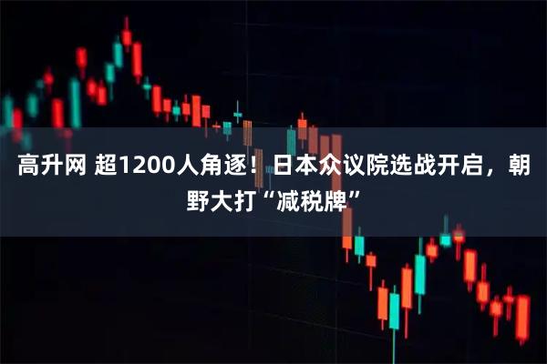 高升网 超1200人角逐！日本众议院选战开启，朝野大打“减税牌”