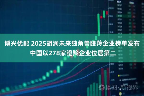 博兴优配 2025胡润未来独角兽瞪羚企业榜单发布 中国以278家瞪羚企业位居第二