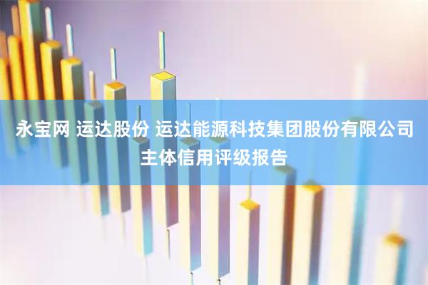 永宝网 运达股份 运达能源科技集团股份有限公司主体信用评级报告