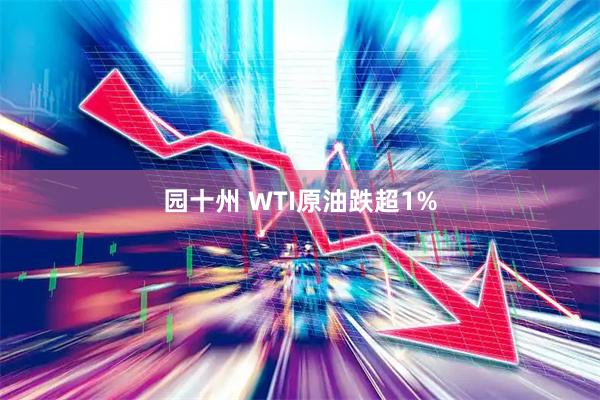 园十州 WTI原油跌超1%