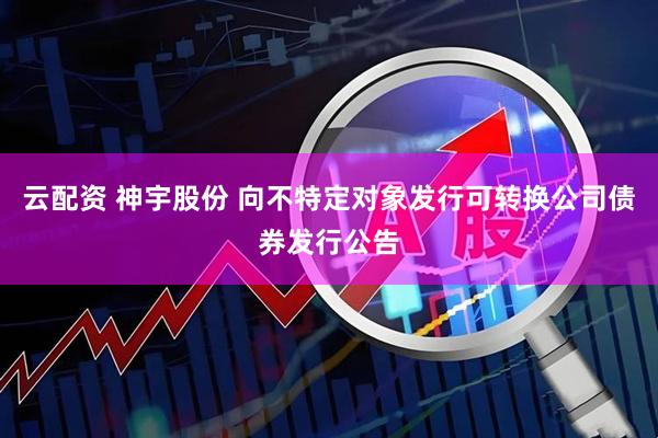 云配资 神宇股份 向不特定对象发行可转换公司债券发行公告