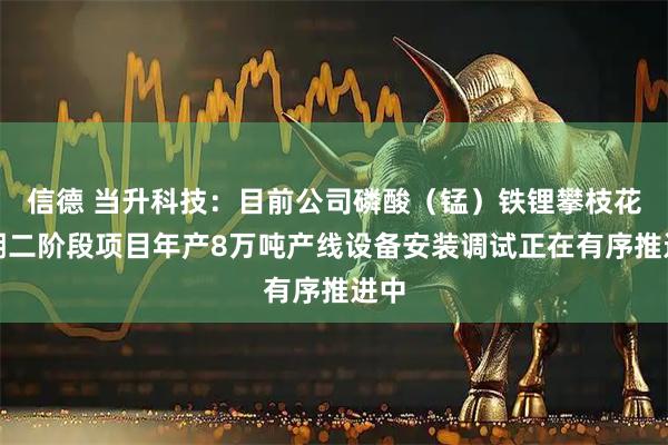 信德 当升科技：目前公司磷酸（锰）铁锂攀枝花首期二阶段项目年产8万吨产线设备安装调试正在有序推进中